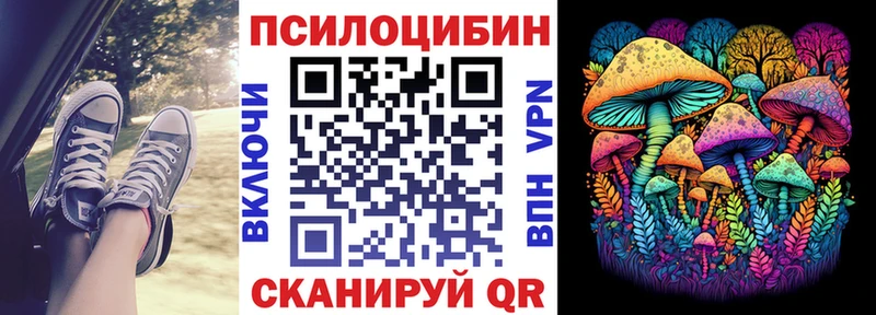 Псилоцибиновые грибы MAGIC MUSHROOMS  где можно купить наркотик  Советская Гавань 